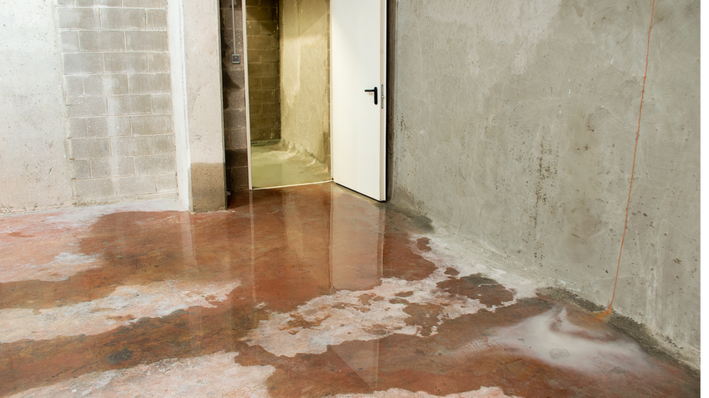 basement waterproofing knoxville 