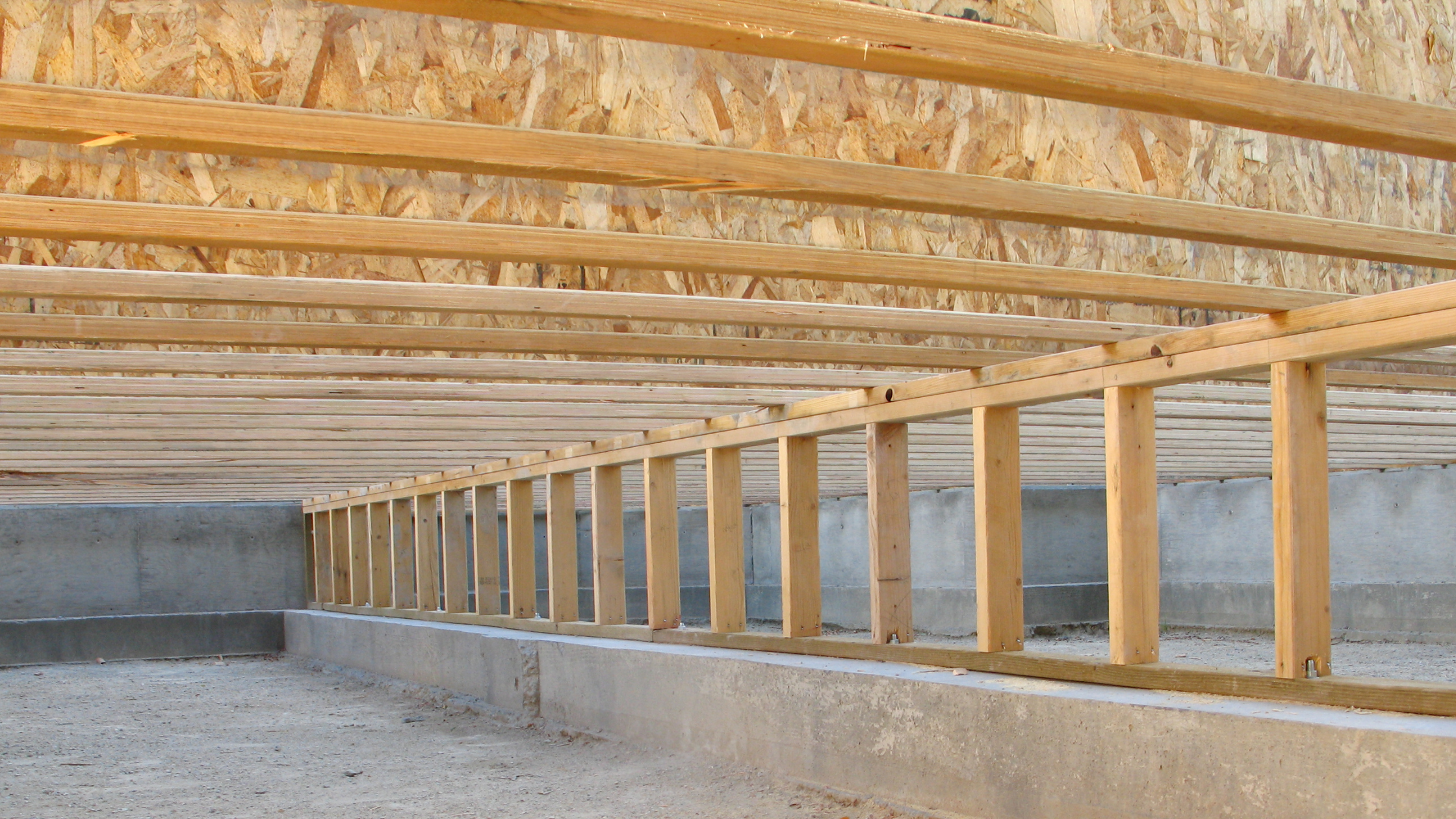 mold floor joists